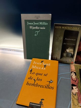 7 novelas, literatura hispanica, JUAN JOSE MILLAS, LUIS MATEO DIEZ, JESUS FERRERO y mas