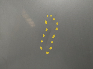 CAPO FORD S-MAX (CA1) QXWA