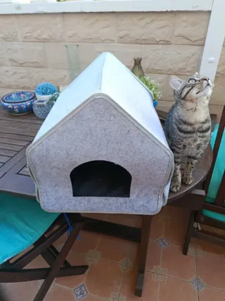 Casita / Cama para Gato Ligera