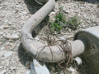 TUBO ESCAPE COMPLETO PEUGEOT BOXER (230) PRITSCHE