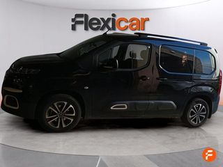 Citroën Berlingo Talla XL PureTech 110 S&S FEEL