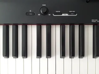 Teclado Casio CDP-S100