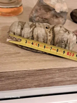 Collezione di 6 sassi decorativi