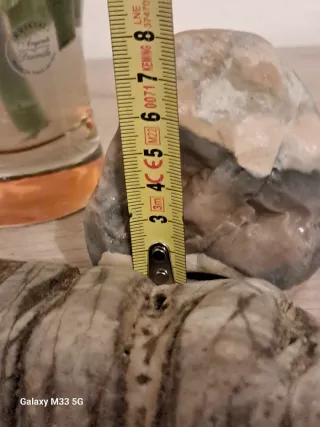 Collezione di 6 sassi decorativi