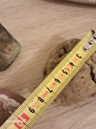 Collezione di 6 sassi decorativi