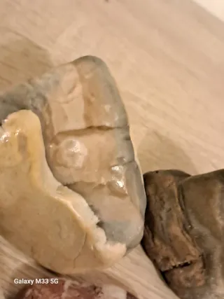 Collezione di 6 sassi decorativi