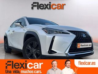 Lexus UX 2.0 250h Business