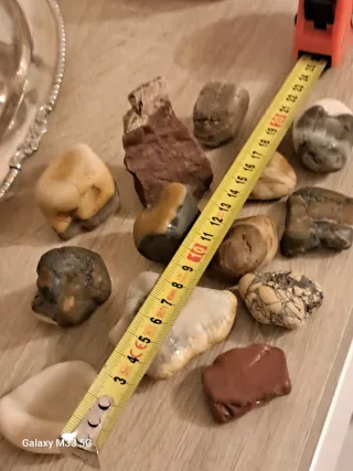 Collezione minerali e rocce