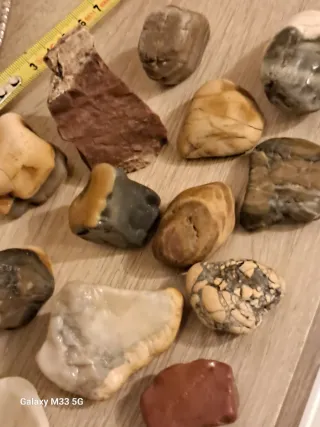 Collezione minerali e rocce