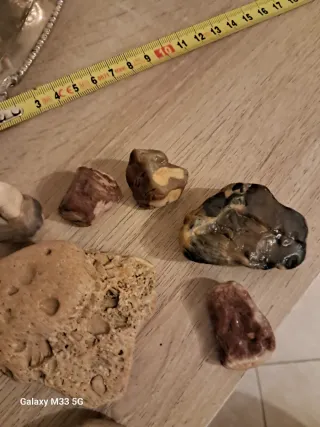 Collezione minerali e rocce