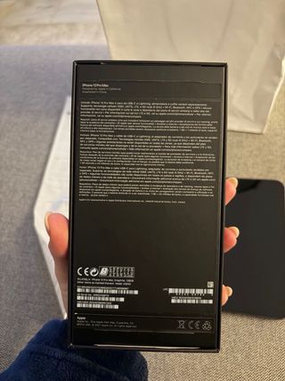 iPhone 13 Pro Max Grafito