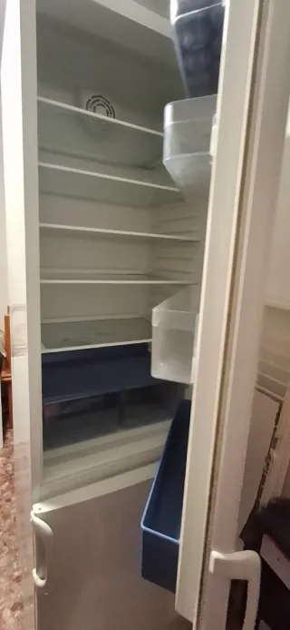 Nevera 200cm, recogida en les palmeres ,Sueca