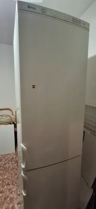 Nevera 200cm, recogida en les palmeres ,Sueca