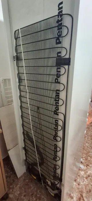 Nevera 200cm, recogida en les palmeres ,Sueca