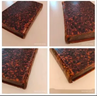 Exercices de Dévotion à Saint Louis de Gonzague.