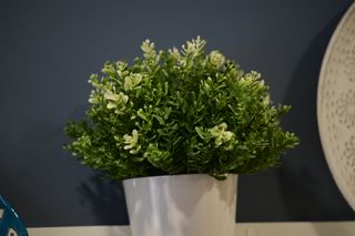 Objetivo Pentacon 135mm f/2.8 15 palas