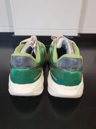 Nike Air Zoom Pegasus 41 se Verde