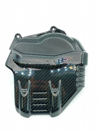 CARENADO FRONTAL CARBONO PANIGALE V4