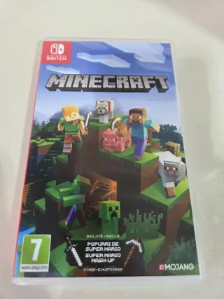 Minecraft Nintendo Switch