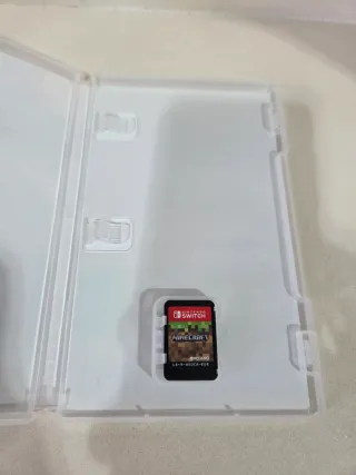 Minecraft Nintendo Switch