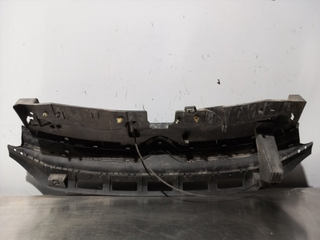 REJILLA DELANTERA CITROEN C3 BH02