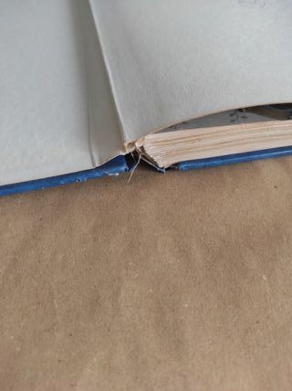 Libro le avventure di pinocchio Collodi sergio