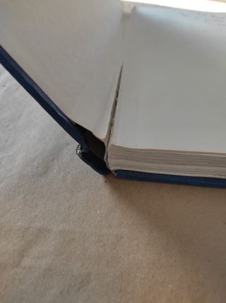 Libro le avventure di pinocchio Collodi sergio