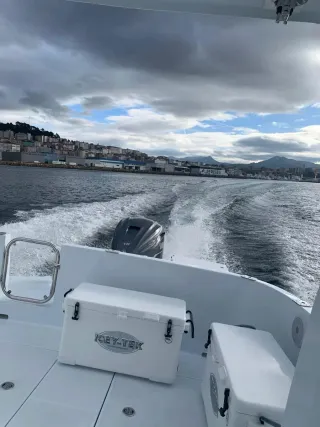 Embarcaciones Verssus V30 Cruiser  puerta lateral