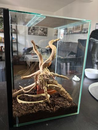 Terrario para animales