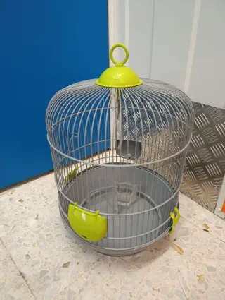 Gabbia rotonda per uccelli con dettagli in verde