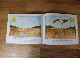 Libro en inglés "From Seed to Plant"