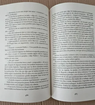 La rebelión de los buenos: Premio de Novela Fer...