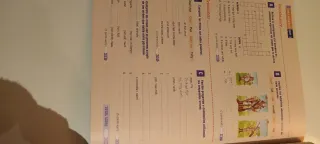 SUMMER PRACTICE ST+CD 1ºESO