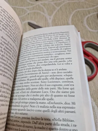 La ragazza della neve