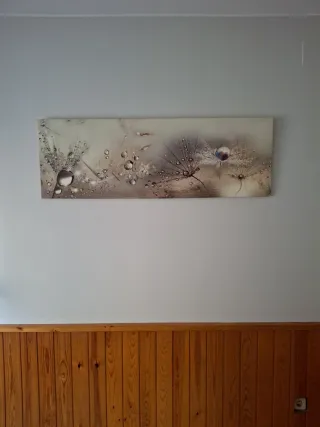 Cuadro Decorativo Diente de León