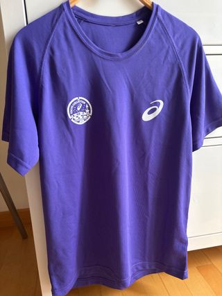 Camiseta T.S manga corta Asics Tokyo Collection