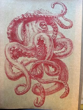 Lote de láminas de medusas