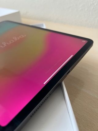 iPad Pro 11 2ª Gen Plata 256GB