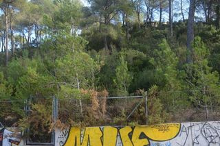 Solar en venta en Corbera de Llobregat