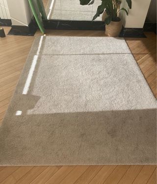 Alfombra 200x300 Hueso