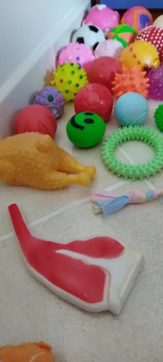 10 giochi per animali a scelta €5