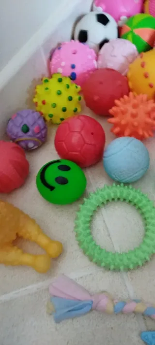 10 giochi per animali a scelta €5