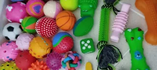 10 giochi per animali a scelta €5