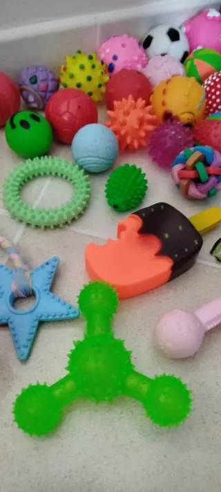 10 giochi per animali a scelta €5