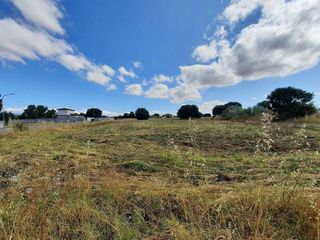 Solar en venta en Escalona