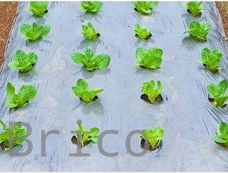 Plástico Transparente Agricultura Obra G600 - 1/4 - 6x85 Metros