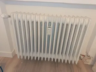 Radiador de hierro fundido blanco