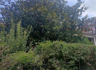 Casa pareada en venta en Corrales de Buelna (Los)