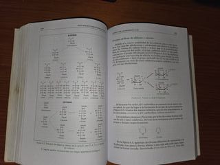 Principales compuestos químicos (GRADO) (Spanis...