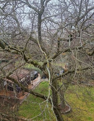 Piso en alquiler en Navas del Marqués (Las)
